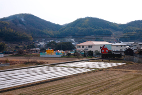 土手から遠景